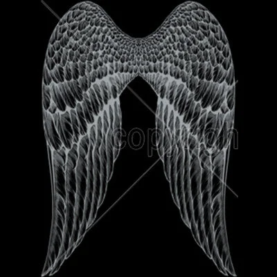 Angel Wings T Shirt Mesh Canvas Denim